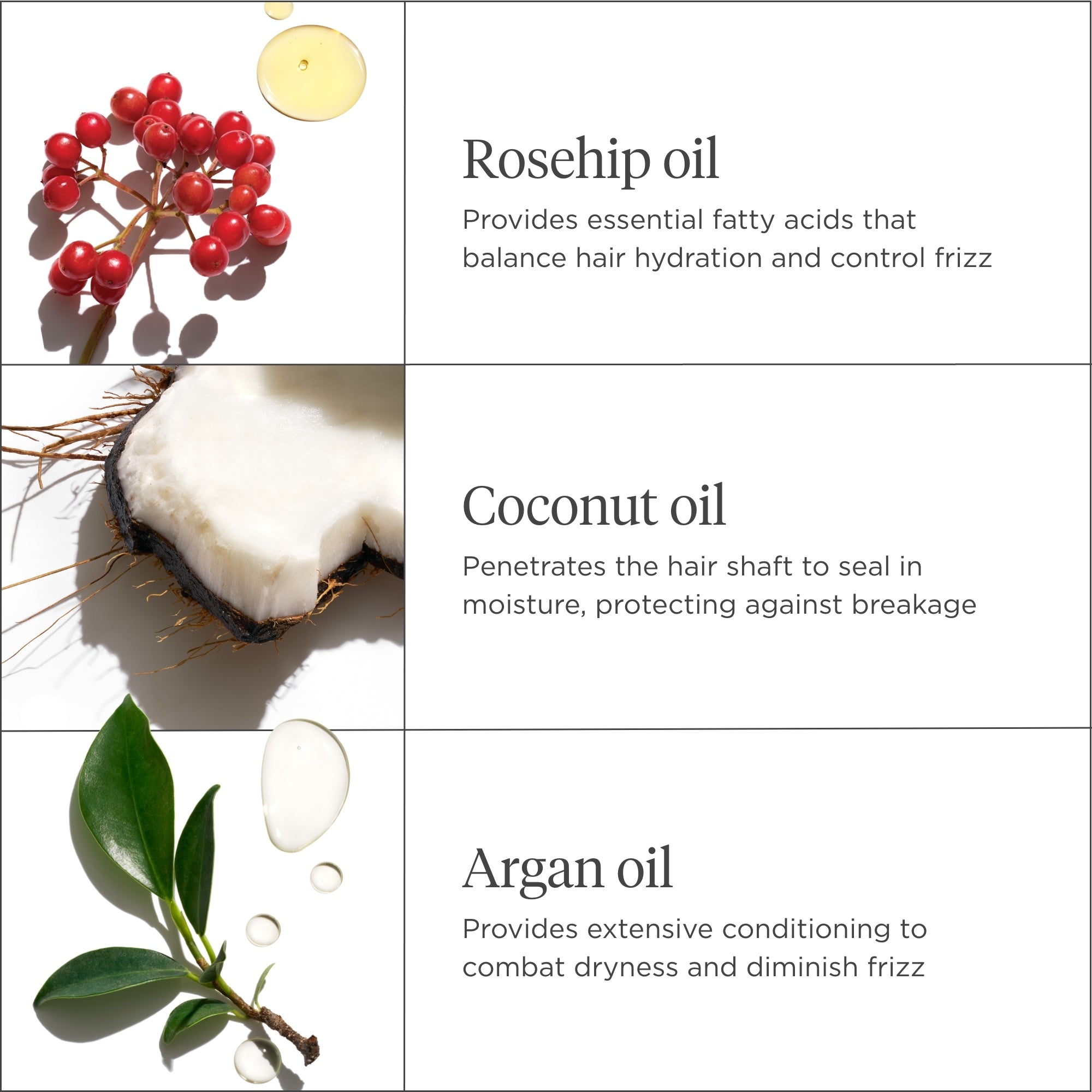 Farewell Frizz Smoothing Shampoo - Briogeo